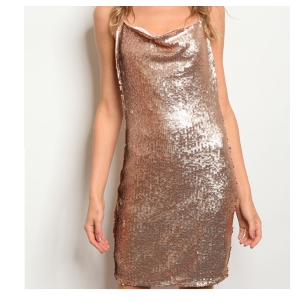 Shimmer Dress